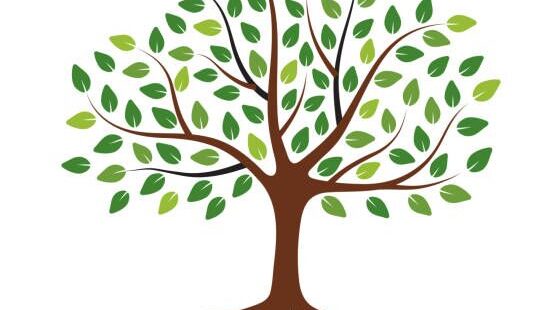 be9b44c574e6aba680695614ac12629a